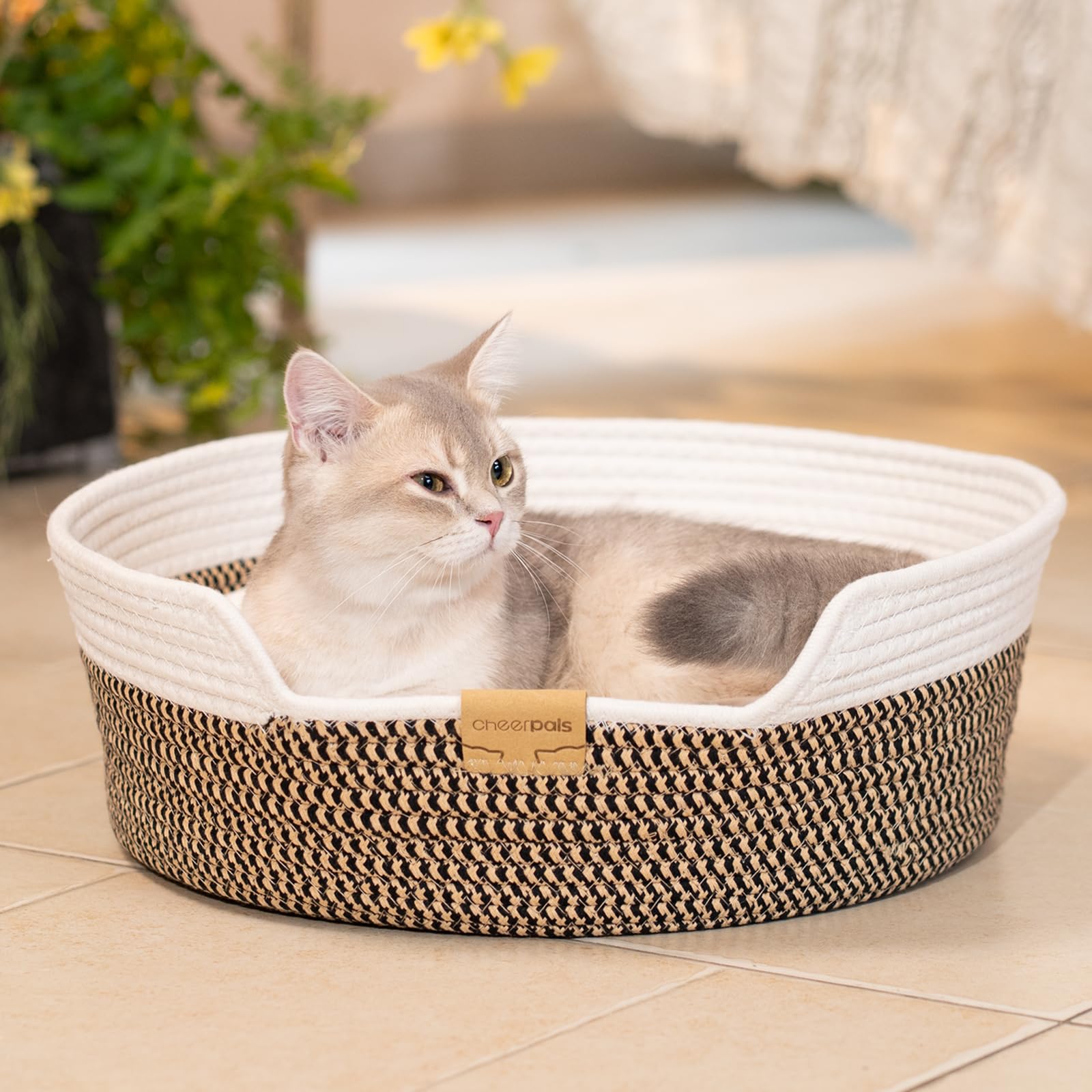 CHEERHOME PETS cat bed basket, cat using as scratching board for natural play.