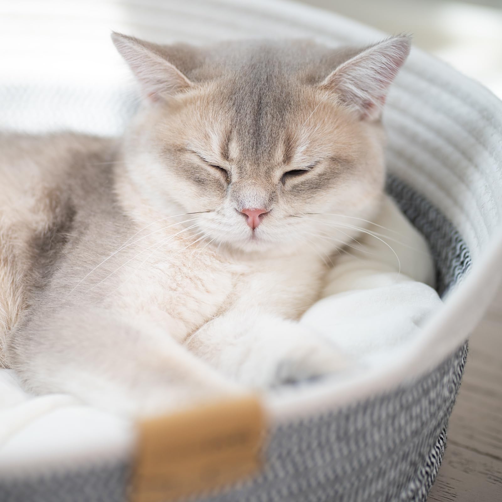 CHEERHOME PETS basket doubles as a versatile storage solution