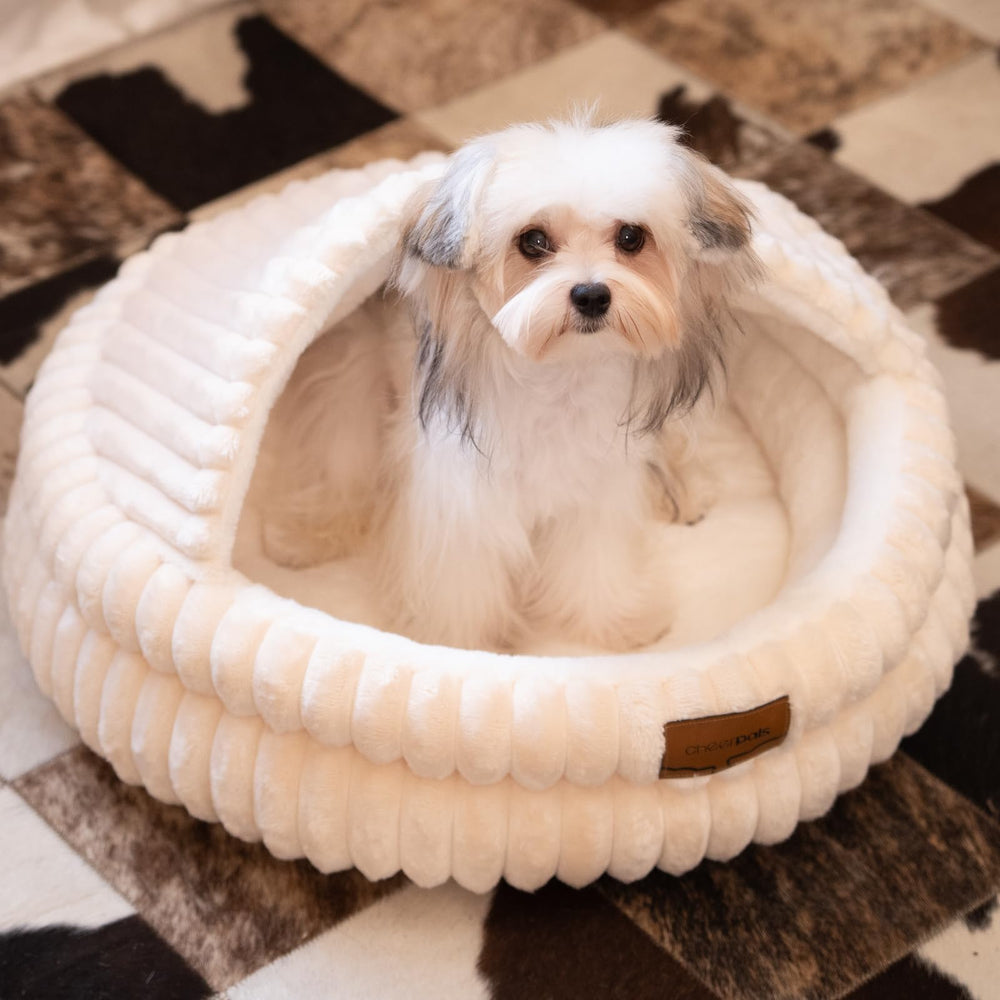 CHEERPALS Cat Cave Bed unboxing guide shows expansion after rest.