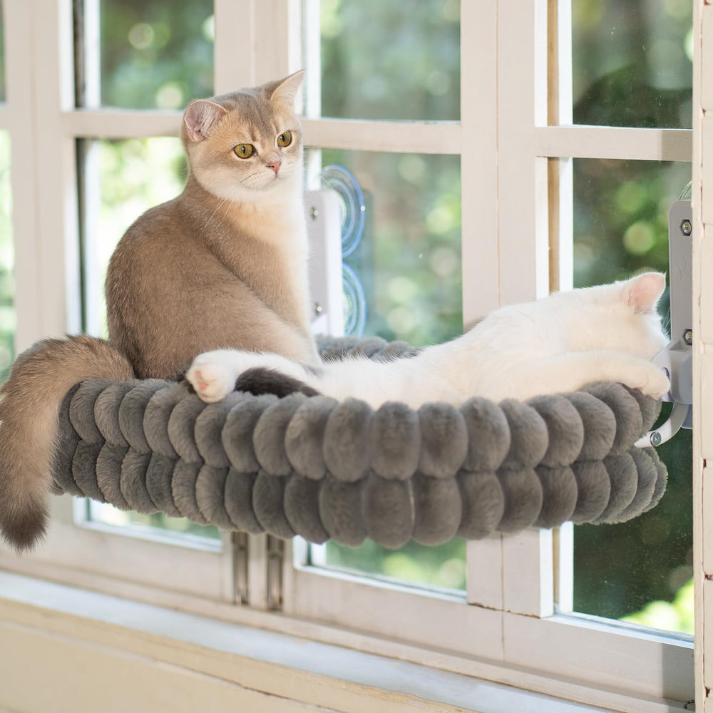 Cat enjoys the window view from CHEERPALS perch during sunny afternoons.