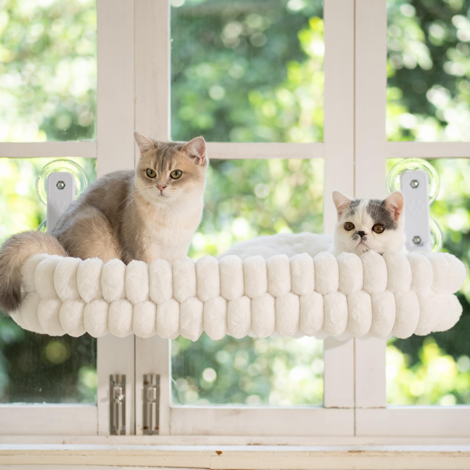 CHEERPALS cat window perch suits large cats and kittens well.