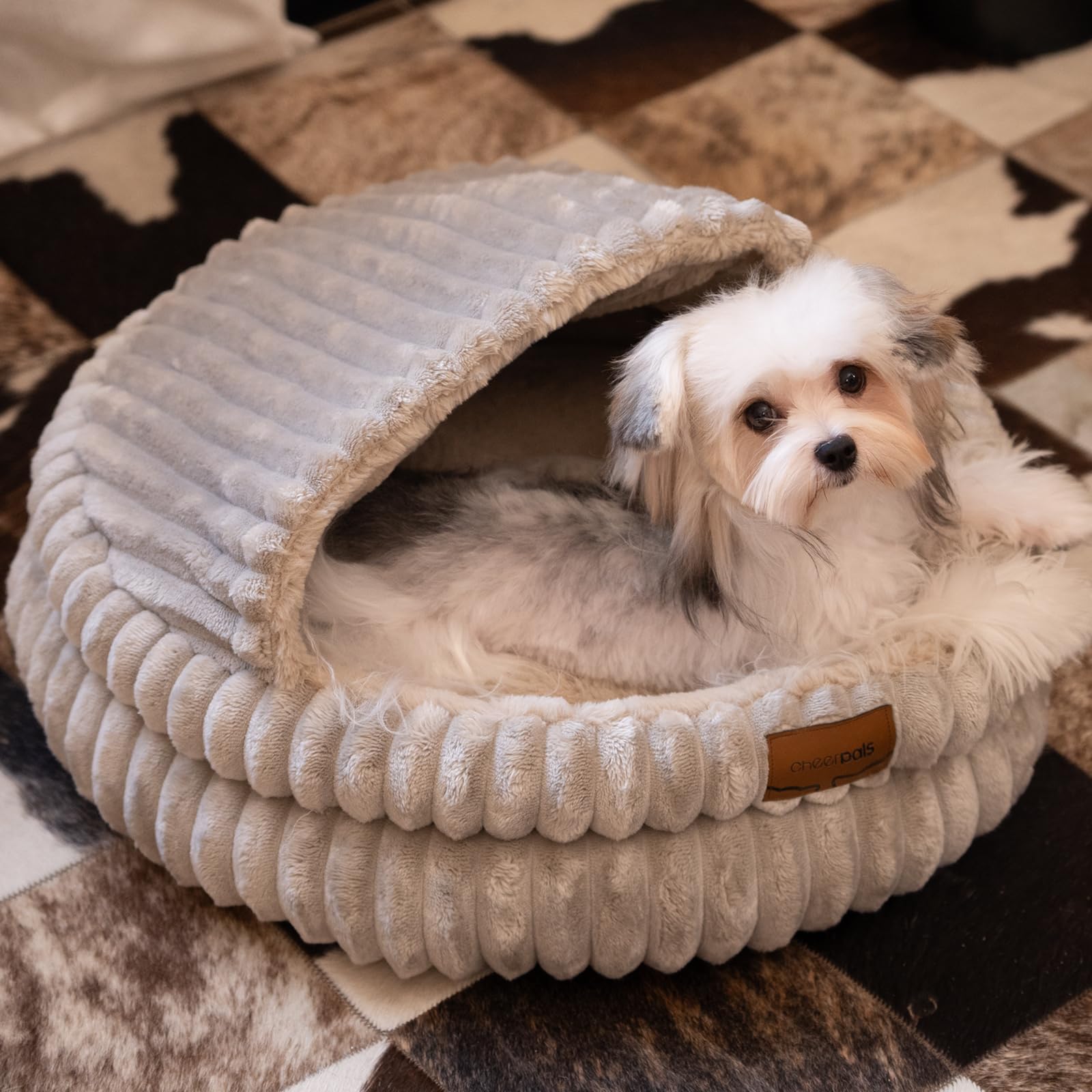 CHEERPALS suitable for cats and small dogs makes it versatile