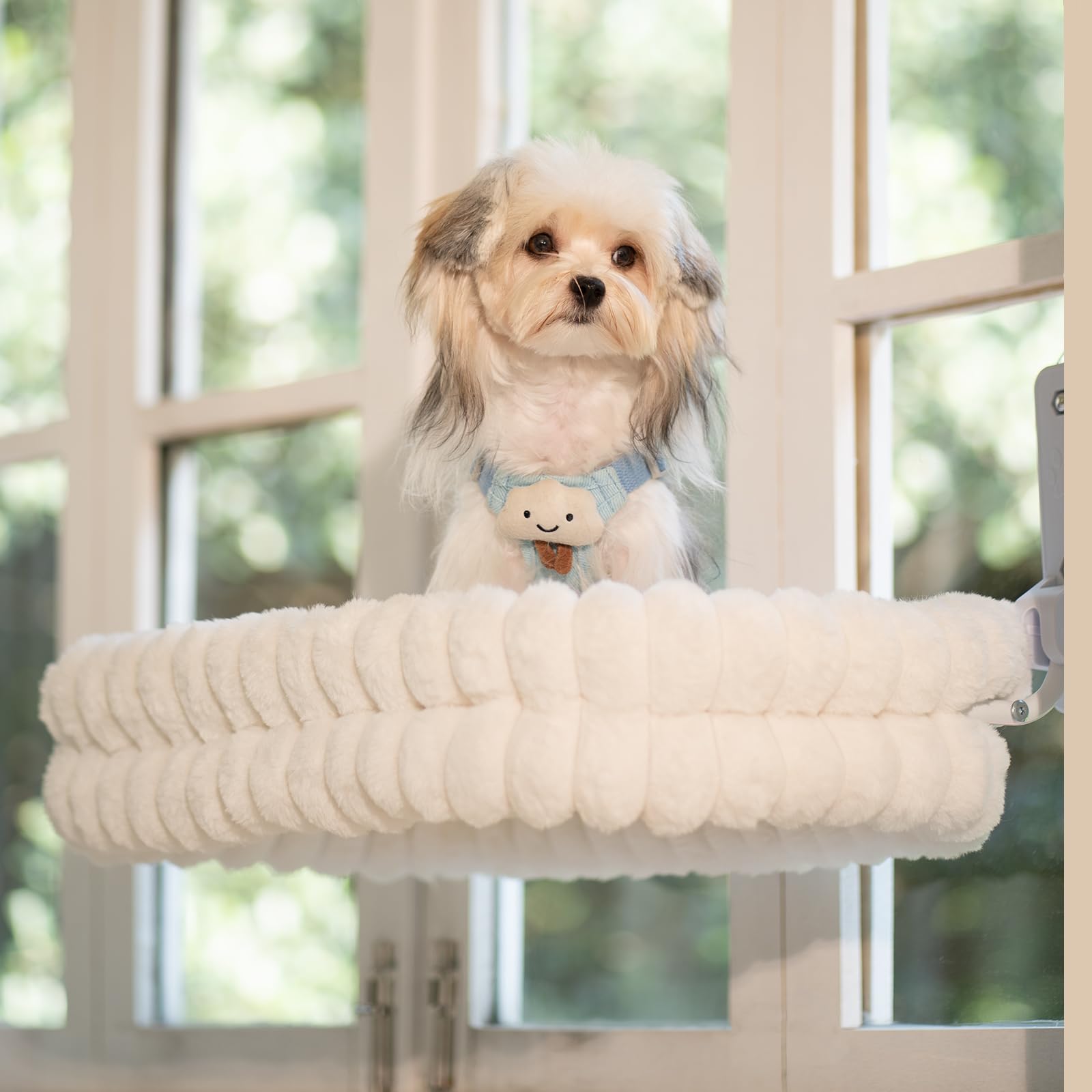 CHEERPALS suction cups provide stable attachment to glass surfaces.
