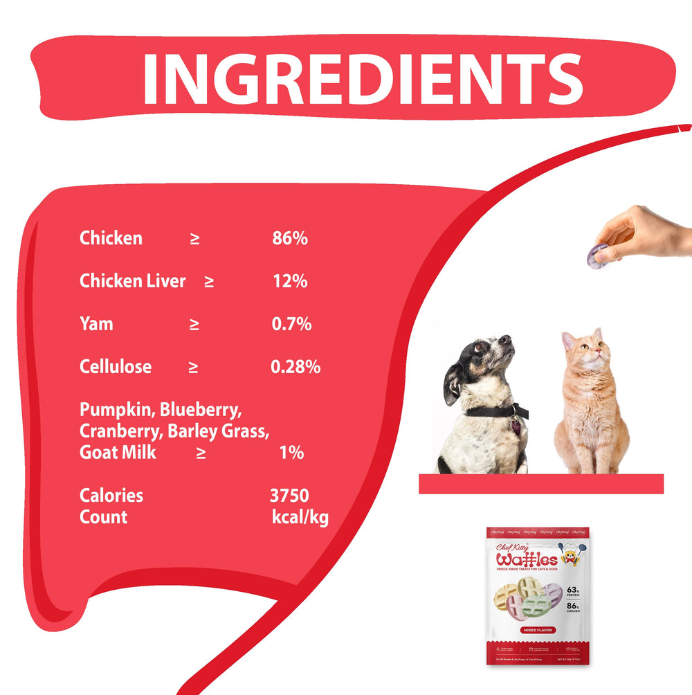 Chef Kitty waffle freeze-dried chicken cat treats served in bowls for easy serving