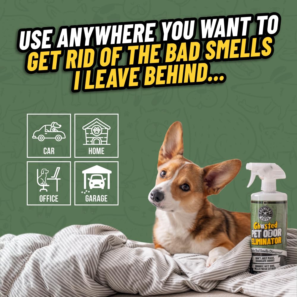 Chemical Guys Ghosted Pet Odor Eliminator in a car interior scene neutralizing smells