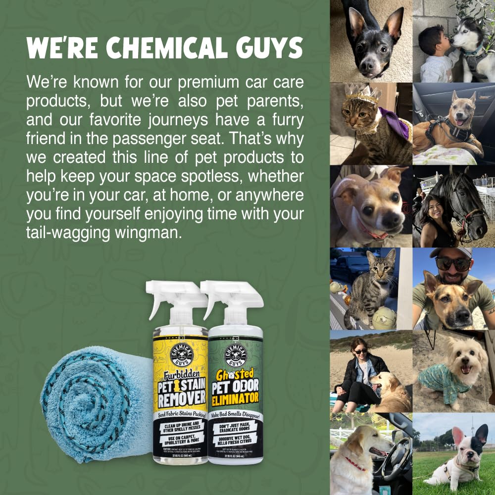 Chemical Guys Ghosted Pet Odor Eliminator applied on fabric seats and upholstery to reduce odors
