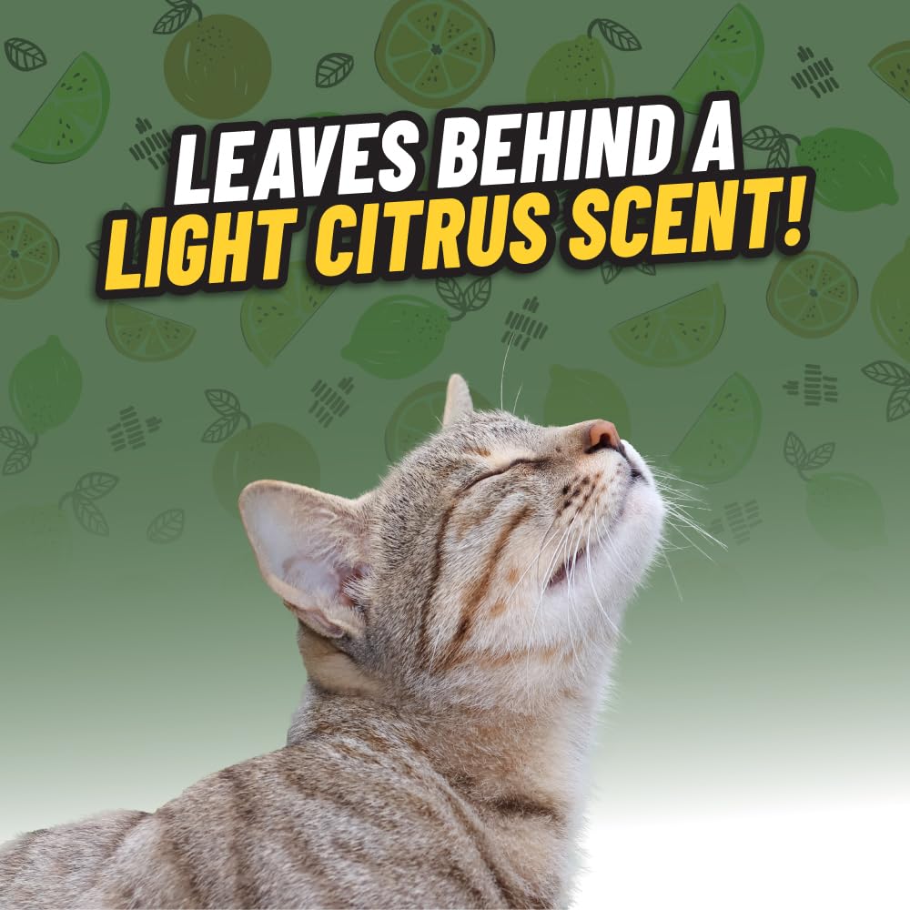 Chemical Guys Ghosted Pet Odor Eliminator product label for home use and fragrance