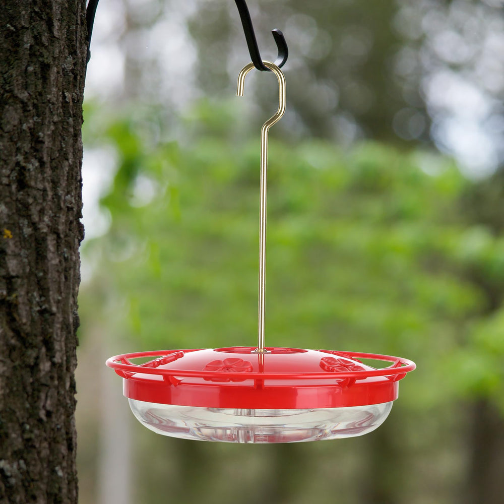 CHENGU color-variety pack attracts hummingbirds with bright lids.