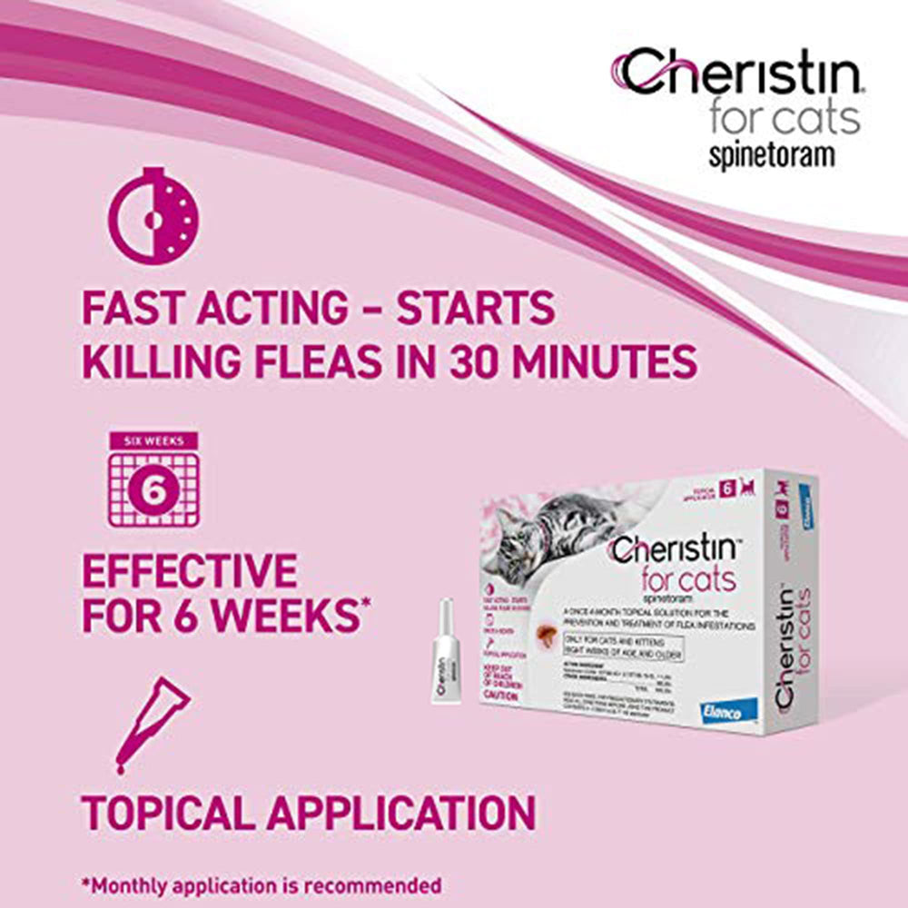 Cheristin begins killing fleas within 30 minutes on a treated cat