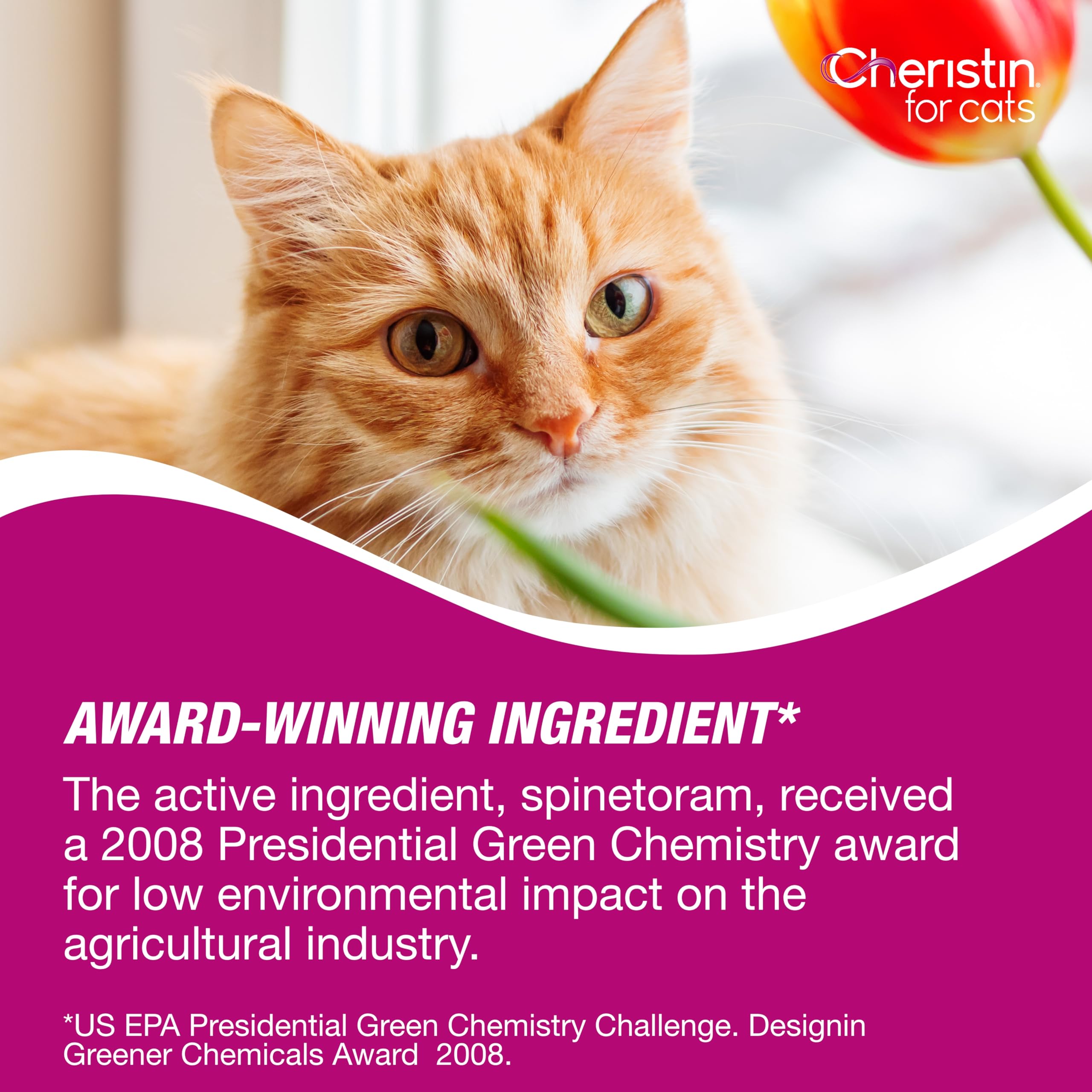 Cheristin rounded-tip applicator image emphasizes easy, precise application.