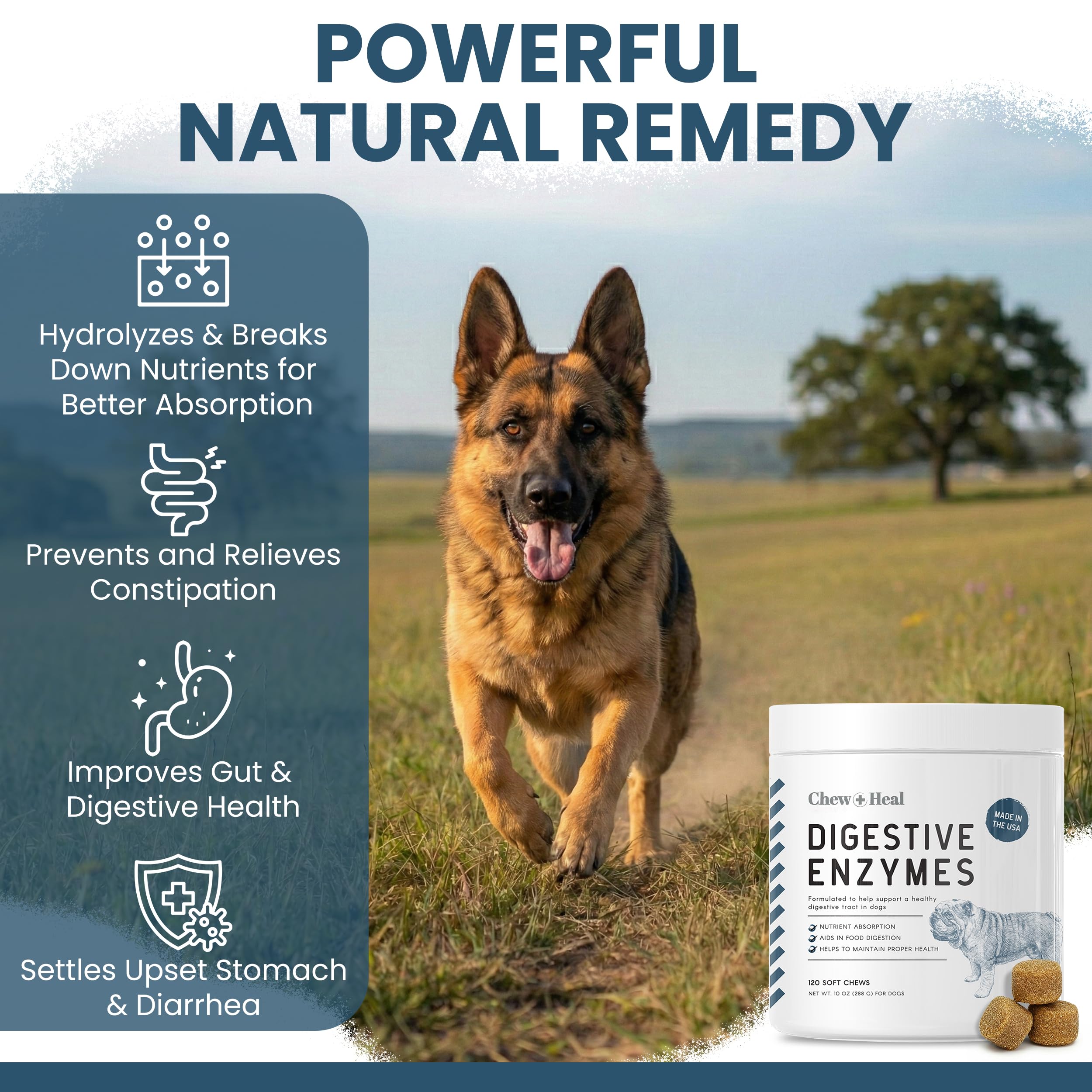 Chew + Heal Labs 90 million CFU probiotic spores promote gut microflora balance.