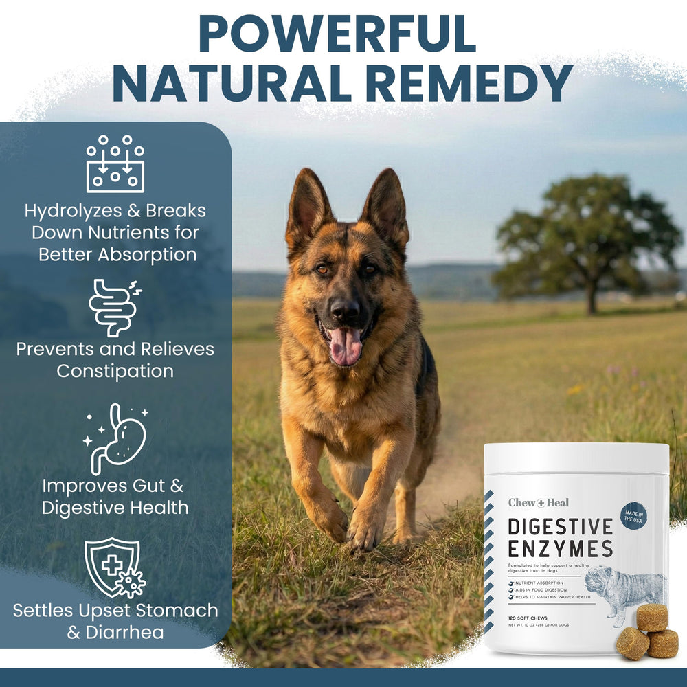 Chew + Heal Labs 90 million CFU probiotic spores promote gut microflora balance.