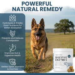 Chew + Heal Labs 90 million CFU probiotic spores promote gut microflora balance.