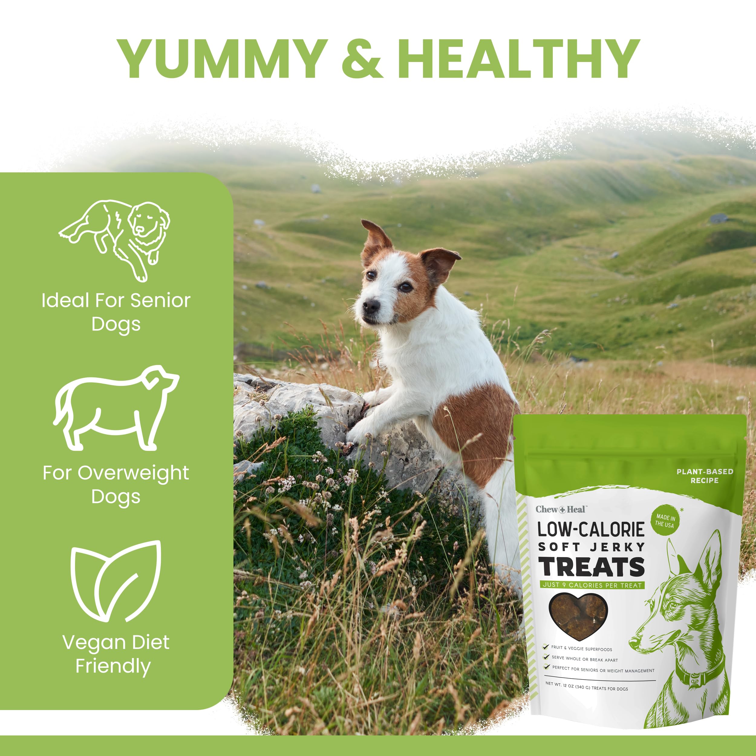 Chew and Heal Labs berries and veggies closeup highlights antioxidants and fiber.