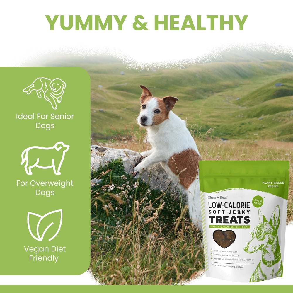 Chew and Heal Labs berries and veggies closeup highlights antioxidants and fiber.