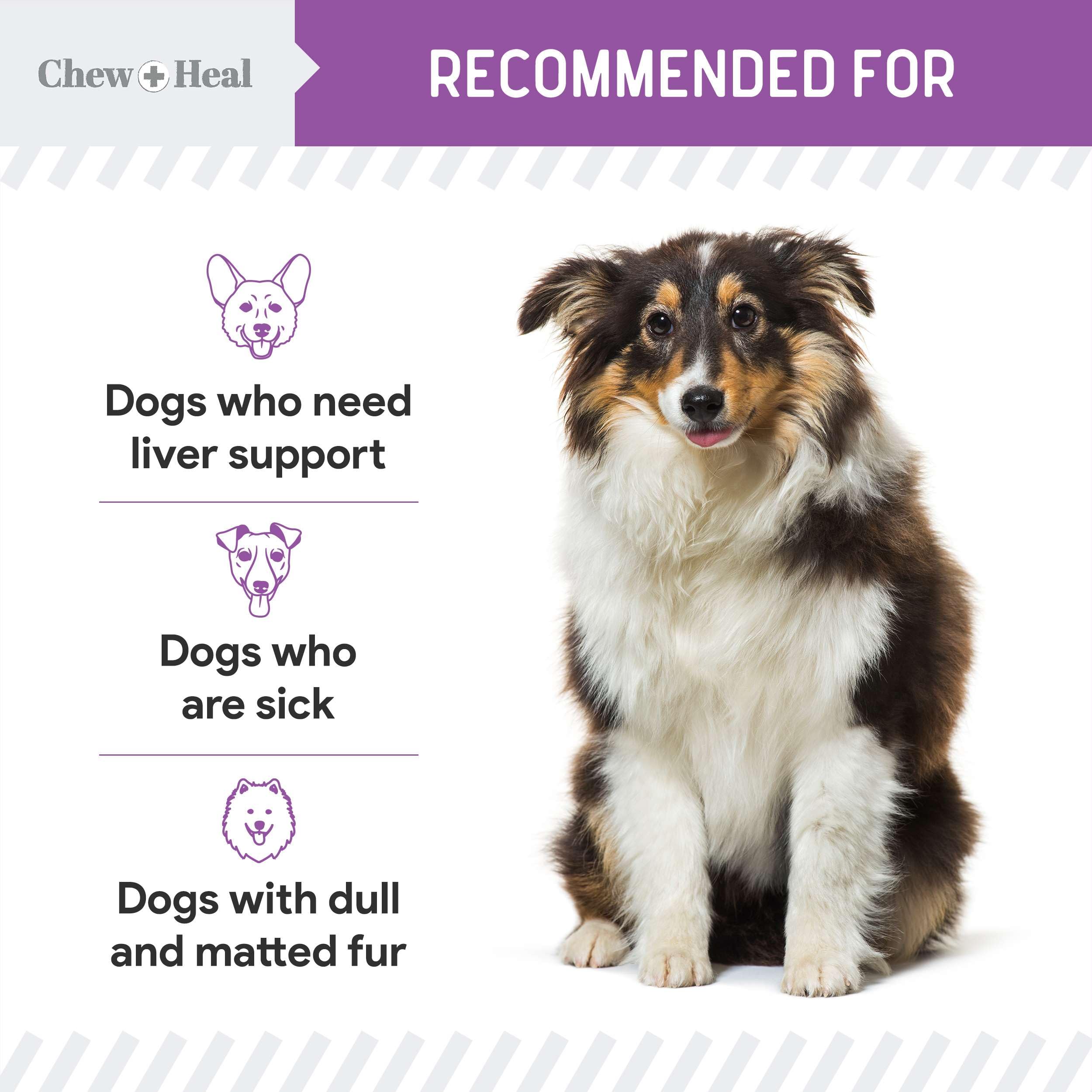 Chew + Heal Labs USA-made bottle label shown for quality.