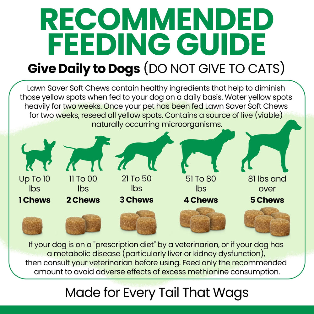 Chew + Heal Labs chews close-up ready to reward dogs