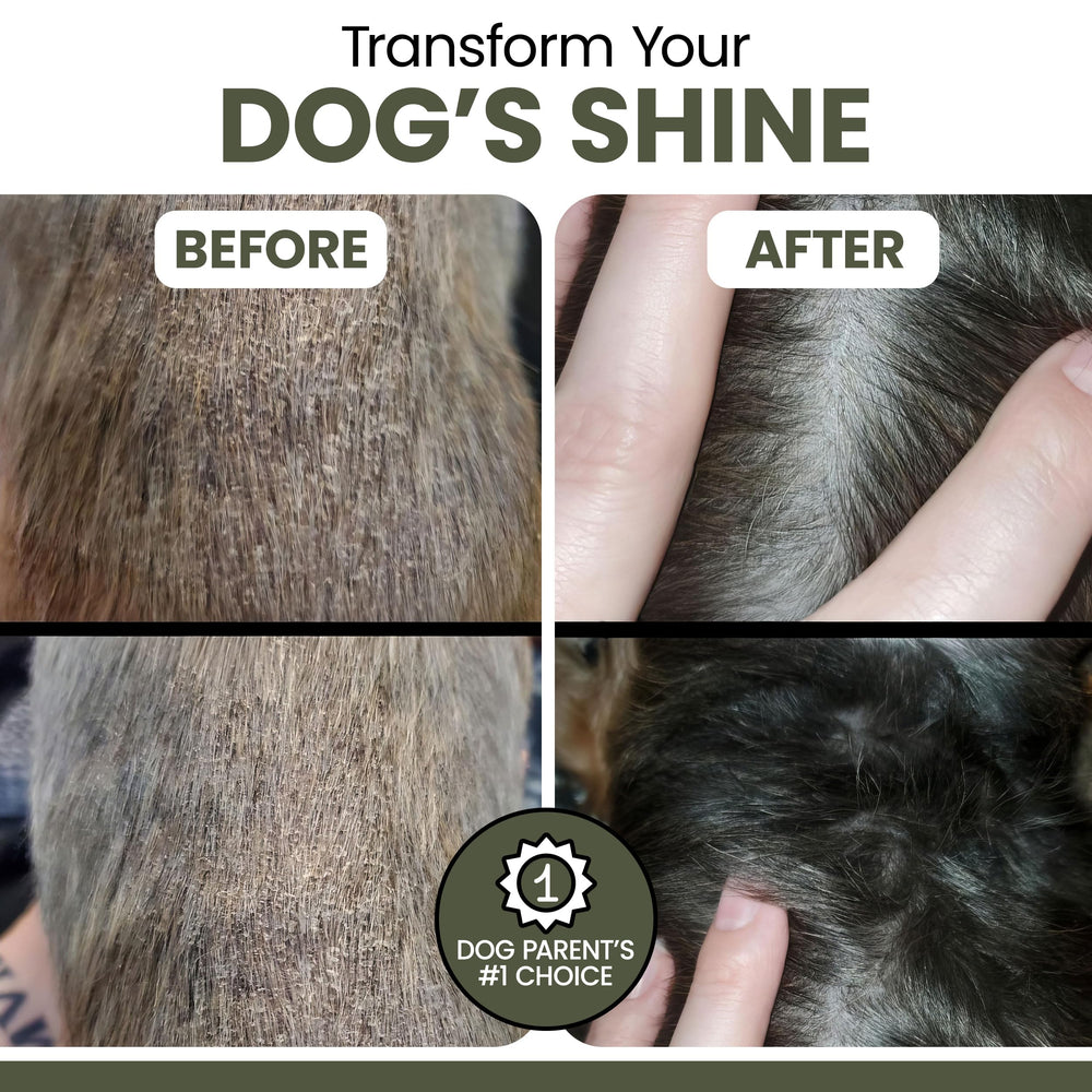 Oil has a mild scent suitable for picky dogs.