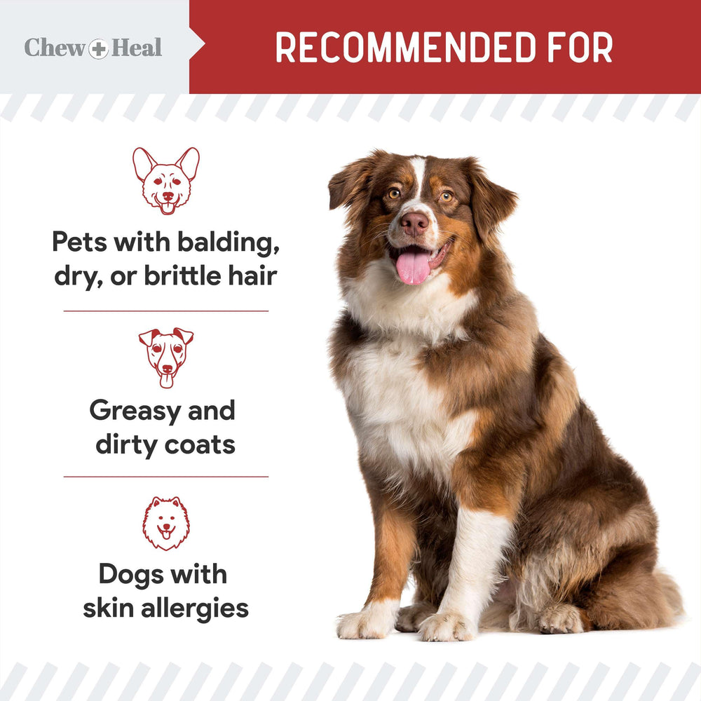 Chew + Heal Labs dandruff itch relief for healthier coat