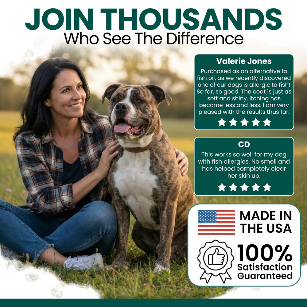 Chew + Heal Labs DHA EPA DPA dogs focus on balanced fatty acids for daily wellness.