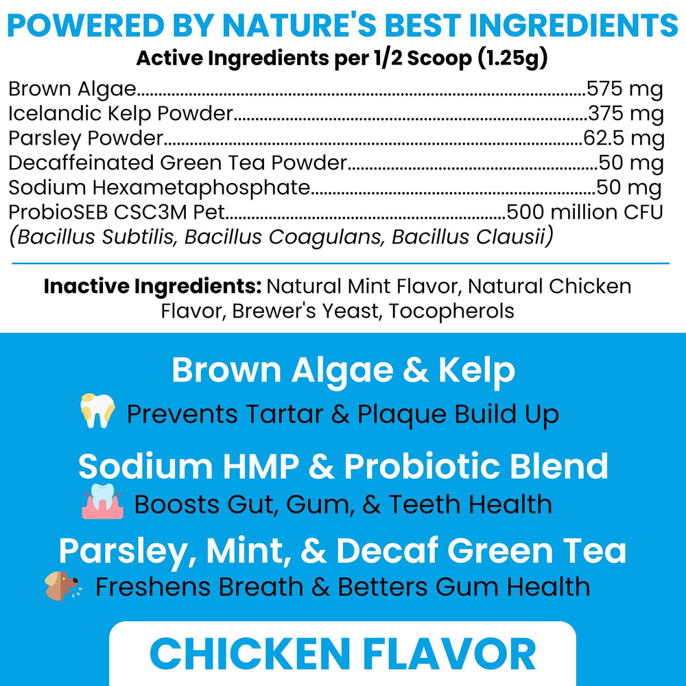 Chew + Heal Labs breath freshener with mint and parsley for fresher dog breath.