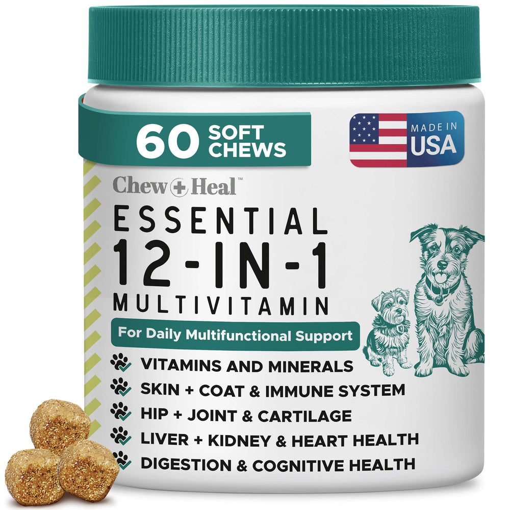 Chew + Heal Labs dog multivitamin soft chew in bottle supports daily vitality and mobility.