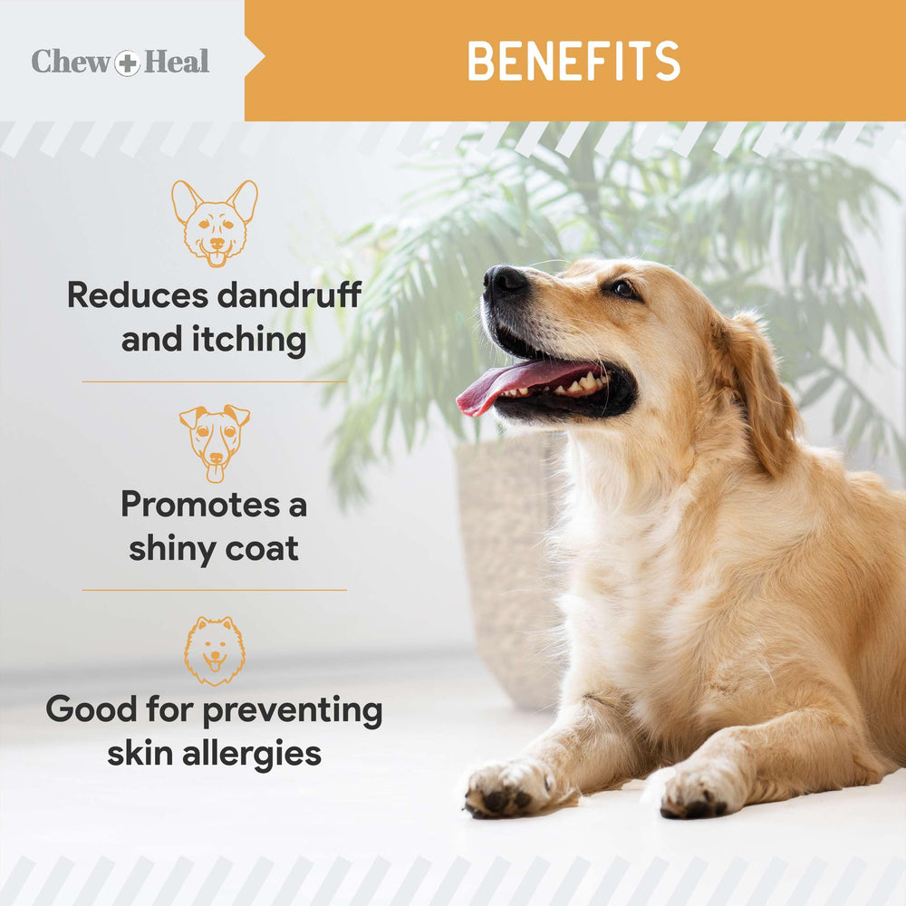 Chew + Heal Labs dog skin and coat support with omega-3 softgels.