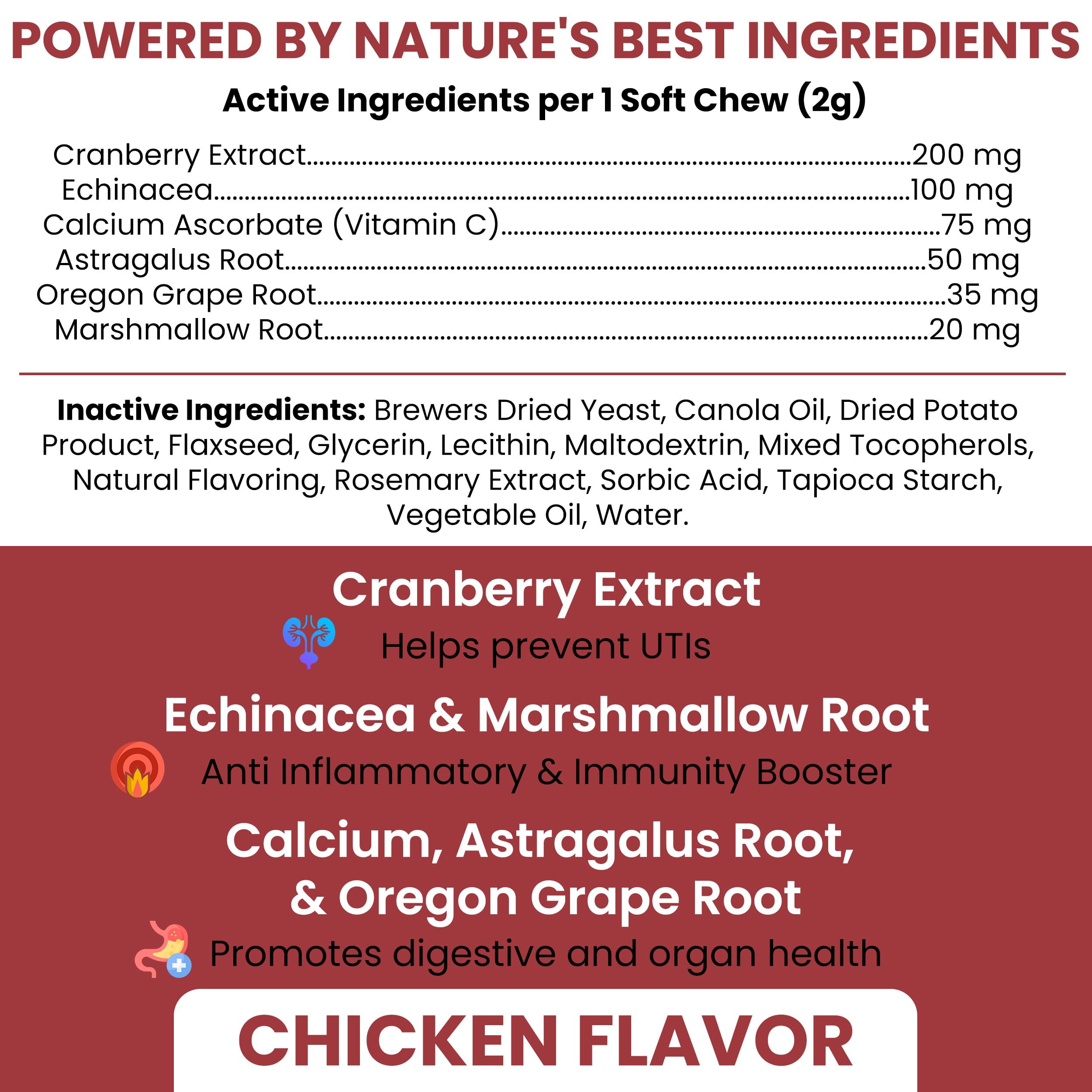 Close-up of cranberry soft chew from Chew + Heal Labs designed for dog-friendly texture.