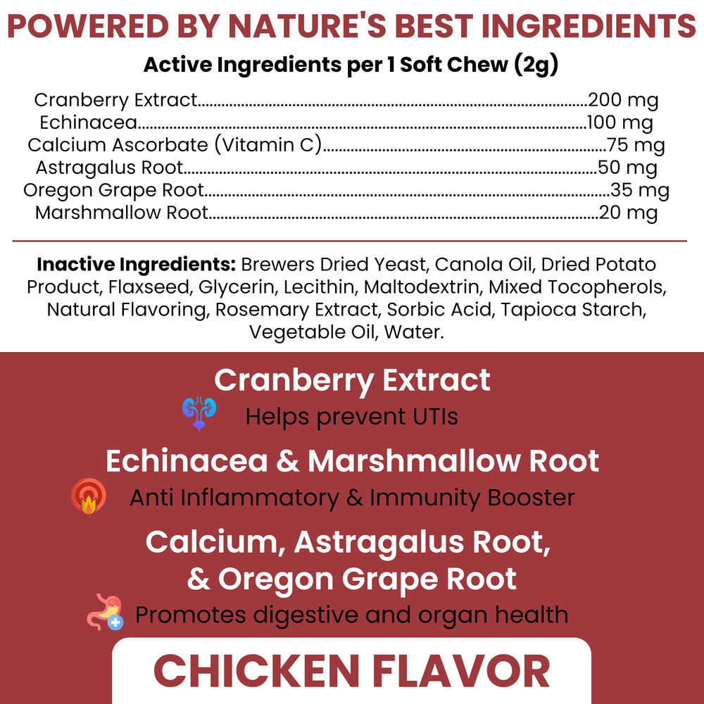 Close-up of cranberry soft chew from Chew + Heal Labs designed for dog-friendly texture.
