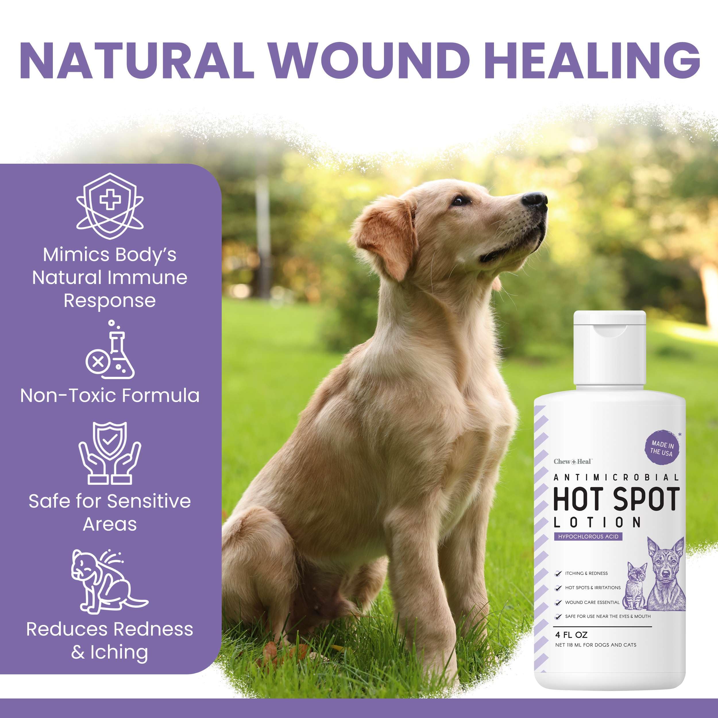 Chew + Heal Labs hypochlorous lotion shown on dog wound area for quick care.