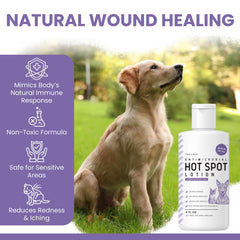 Chew + Heal Labs hypochlorous lotion shown on dog wound area for quick care.