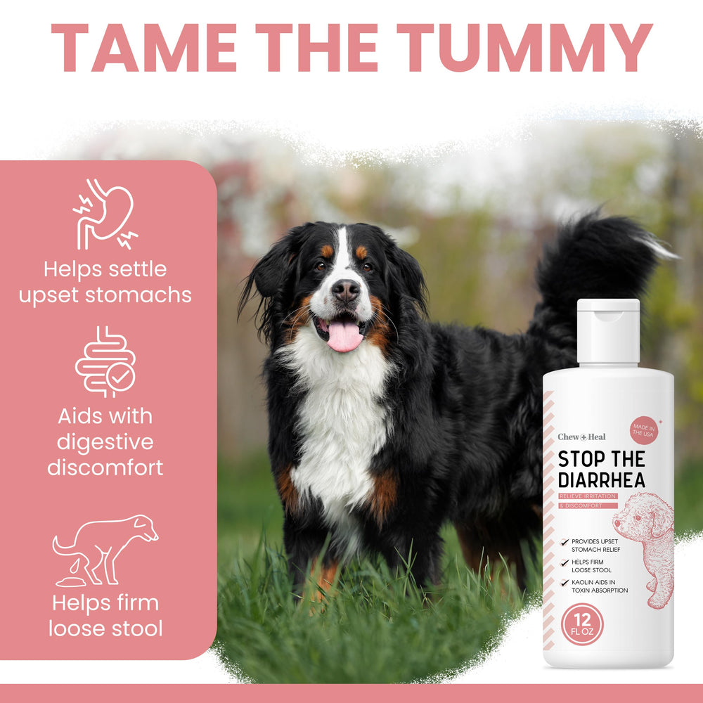 Fast-acting stomach relief concept for Chew + Heal Labs dog liquid.