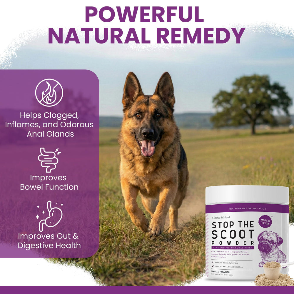 Chew + Heal Labs Glands Bowel Support pumpkin powder highlights natural fiber.
