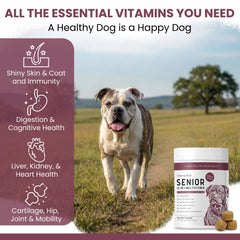 Chew + Heal Labs glucosamine and chondroitin formula for joints.