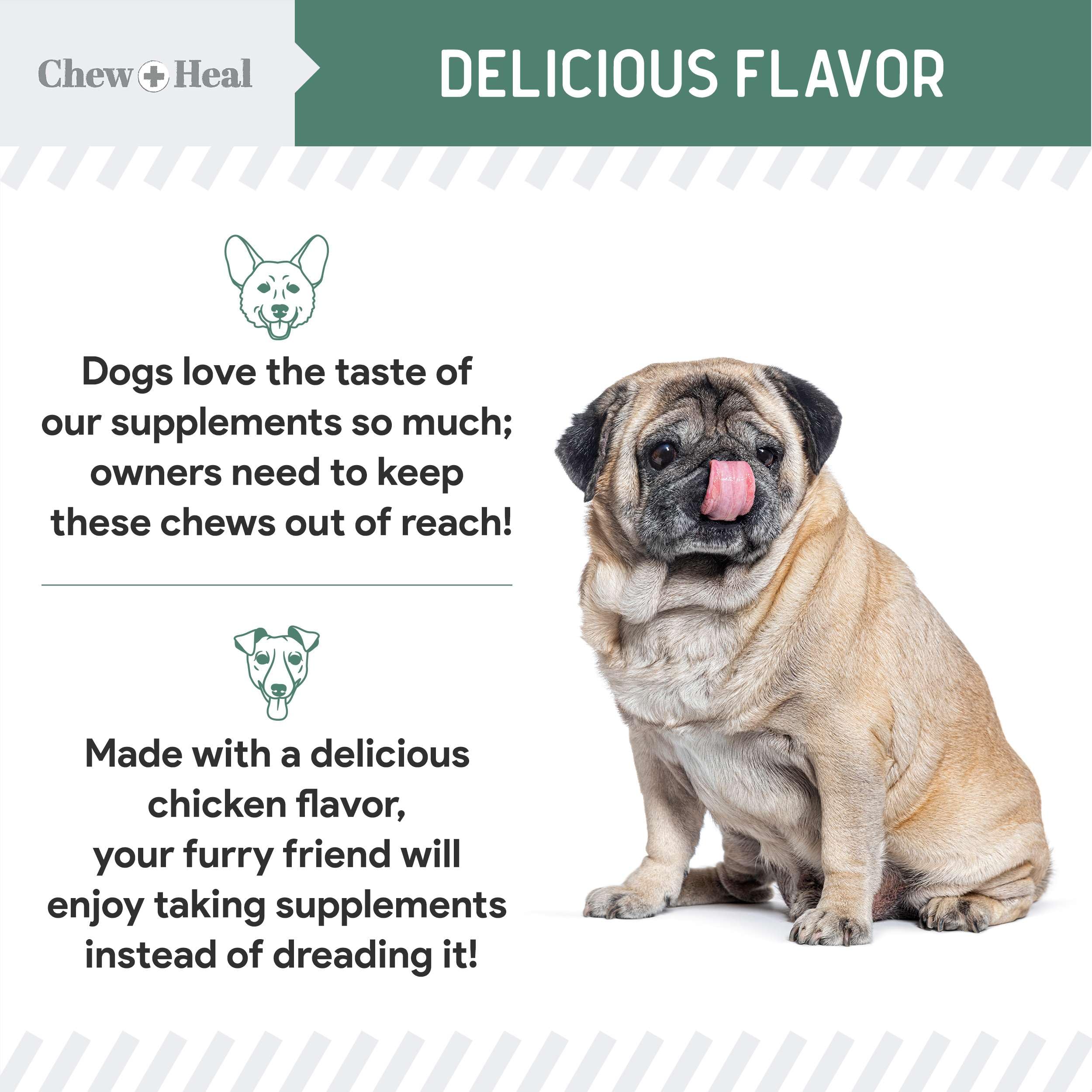 Chew + Heal Labs glucosamine dog soft chews shown with omega-3 and turmeric.