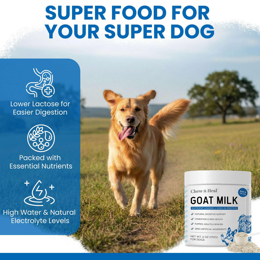 Chew + Heal Labs goat milk powder nutrition label; rich in minerals for bones and general wellness.