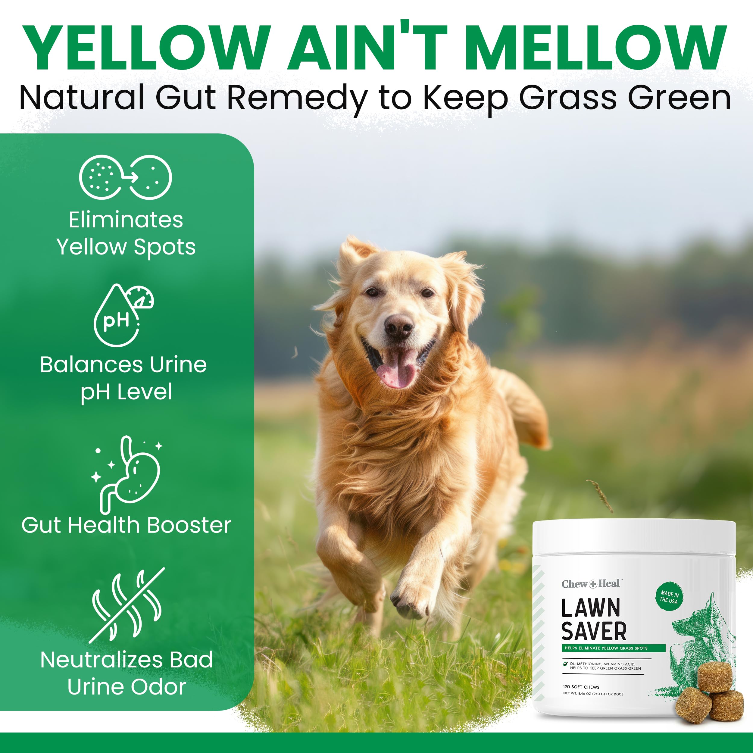 Chew + Heal Labs green grass lawn after use showing improved appearance