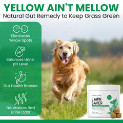 Chew + Heal Labs green grass lawn after use showing improved appearance
