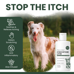 Close-up of Chew + Heal Labs lotion on irritated dog skin.