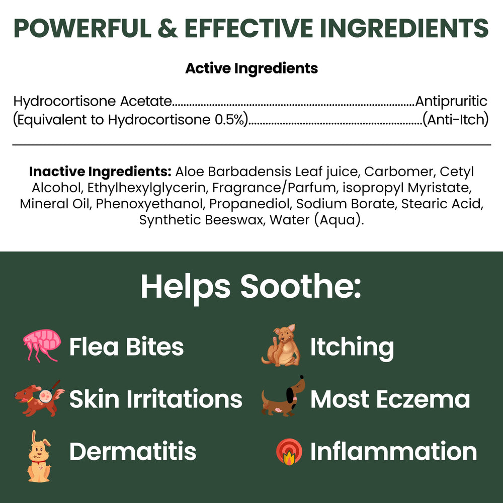 Applying Chew + Heal Labs lotion to a small irritated patch on a dog.