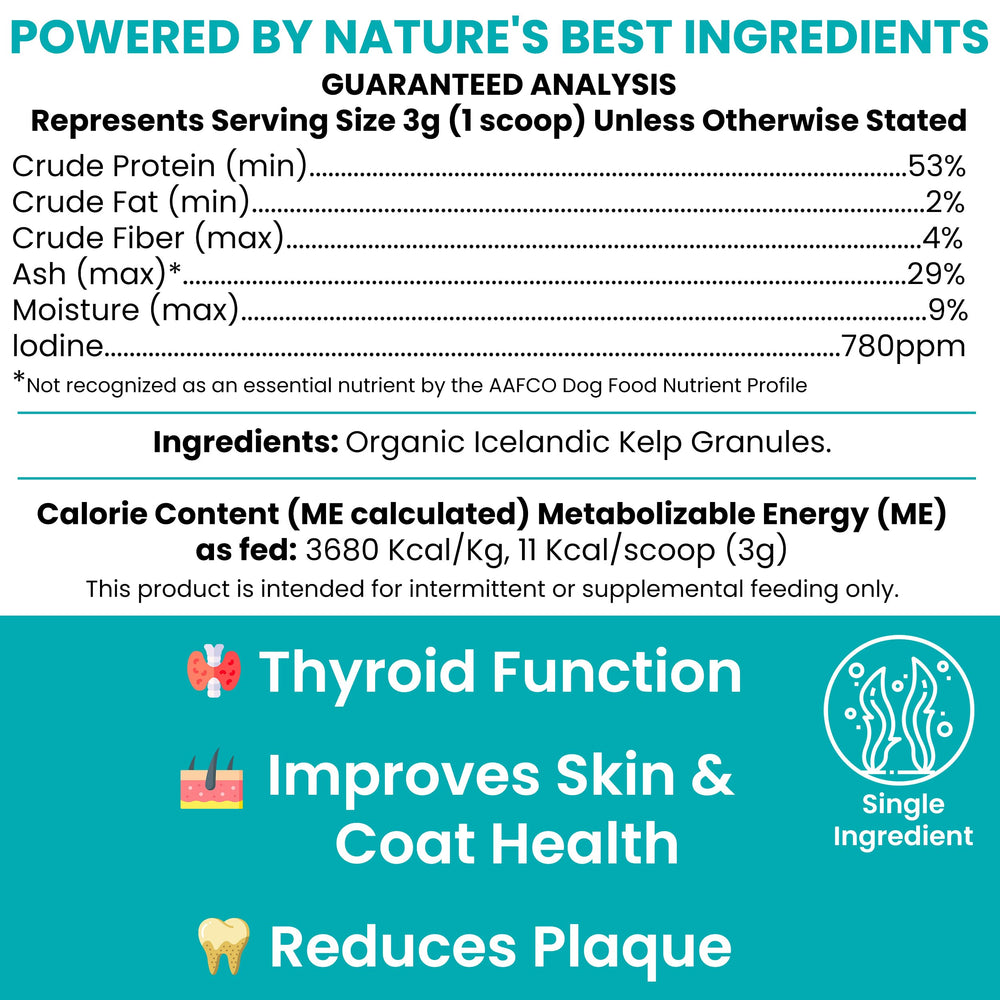 5cc spoon included for easy dosing with Chew + Heal Labs kelp.