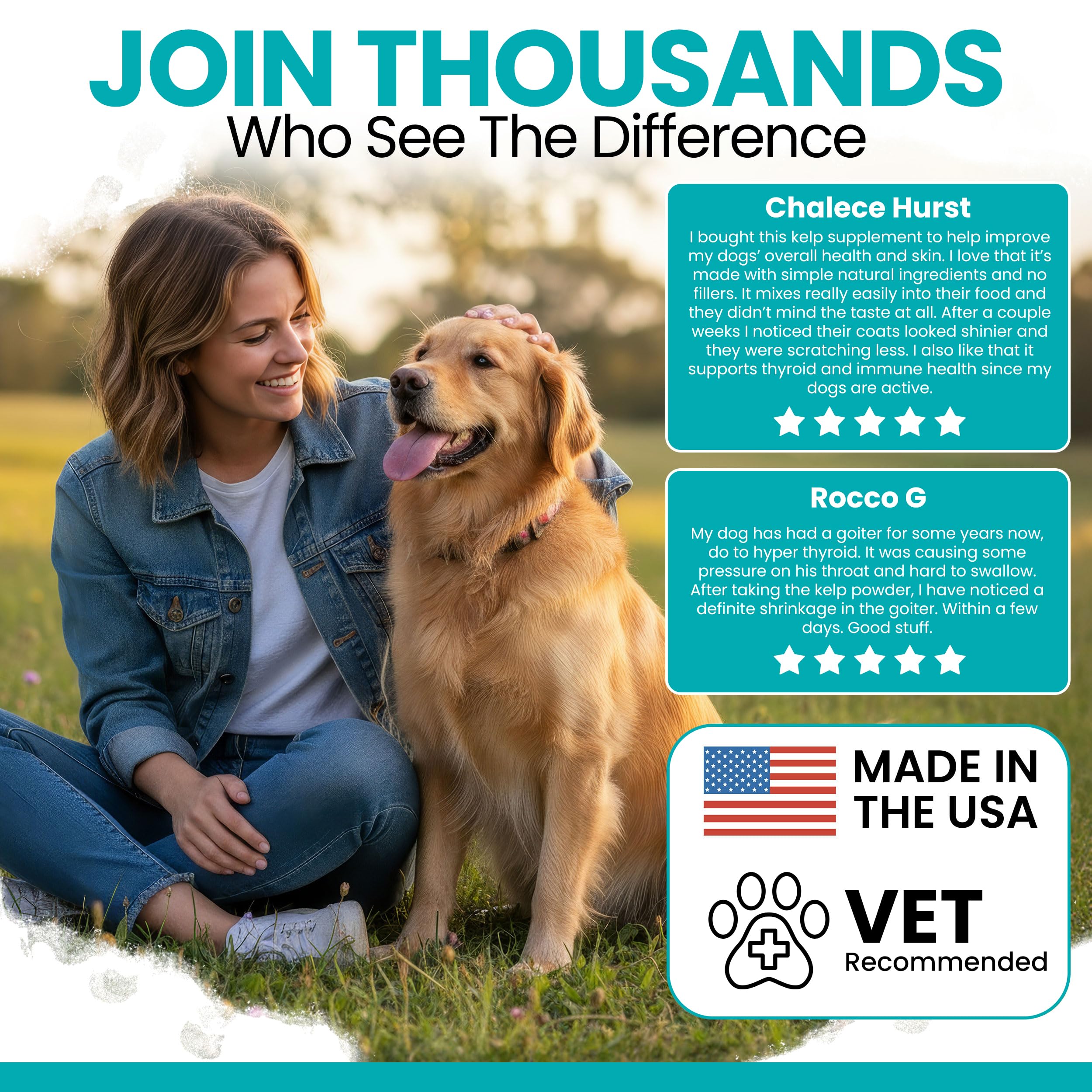 Kelp powder meal topper blending into dog food for gut health.