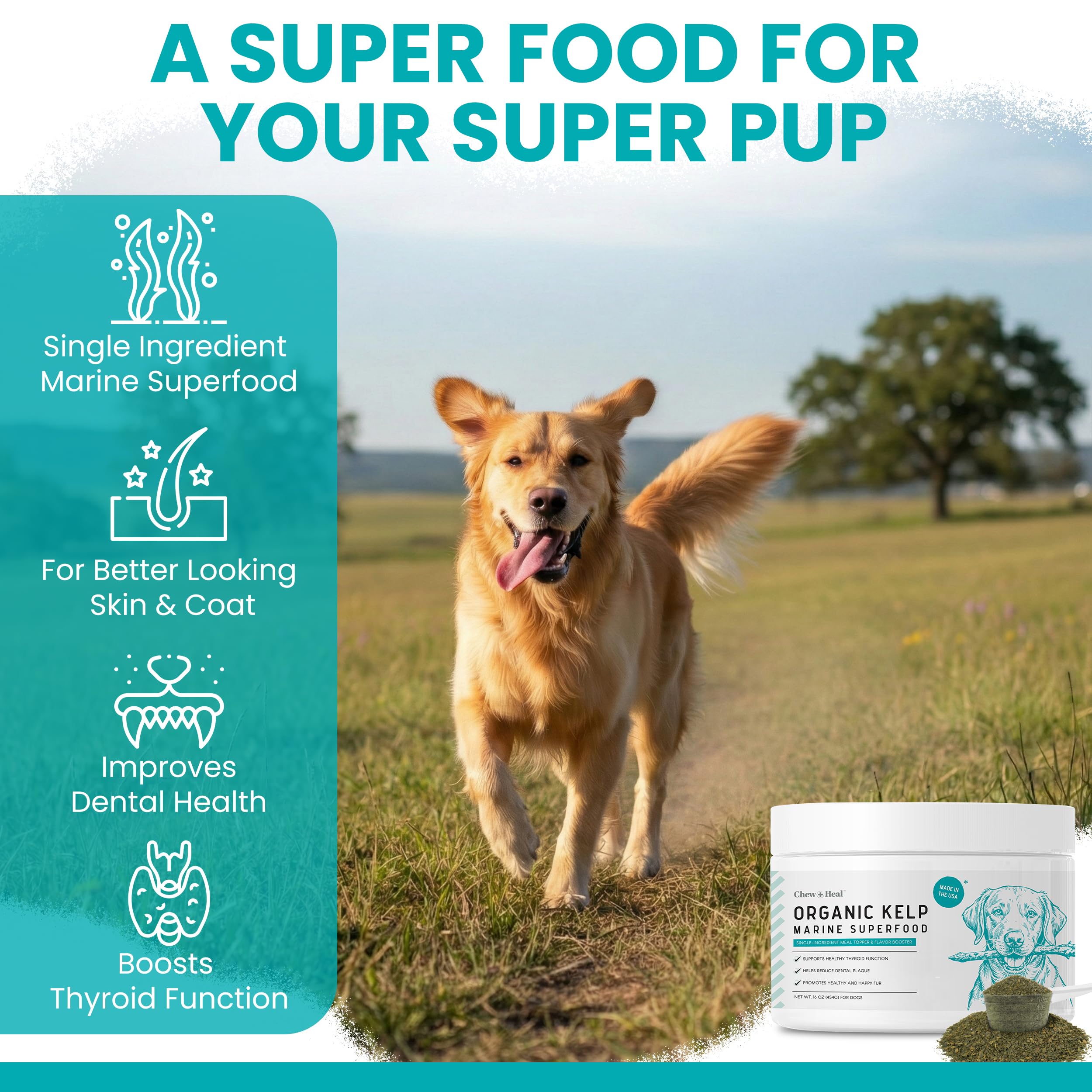 Dog meal topped with kelp powder granules for taste and nutrition.