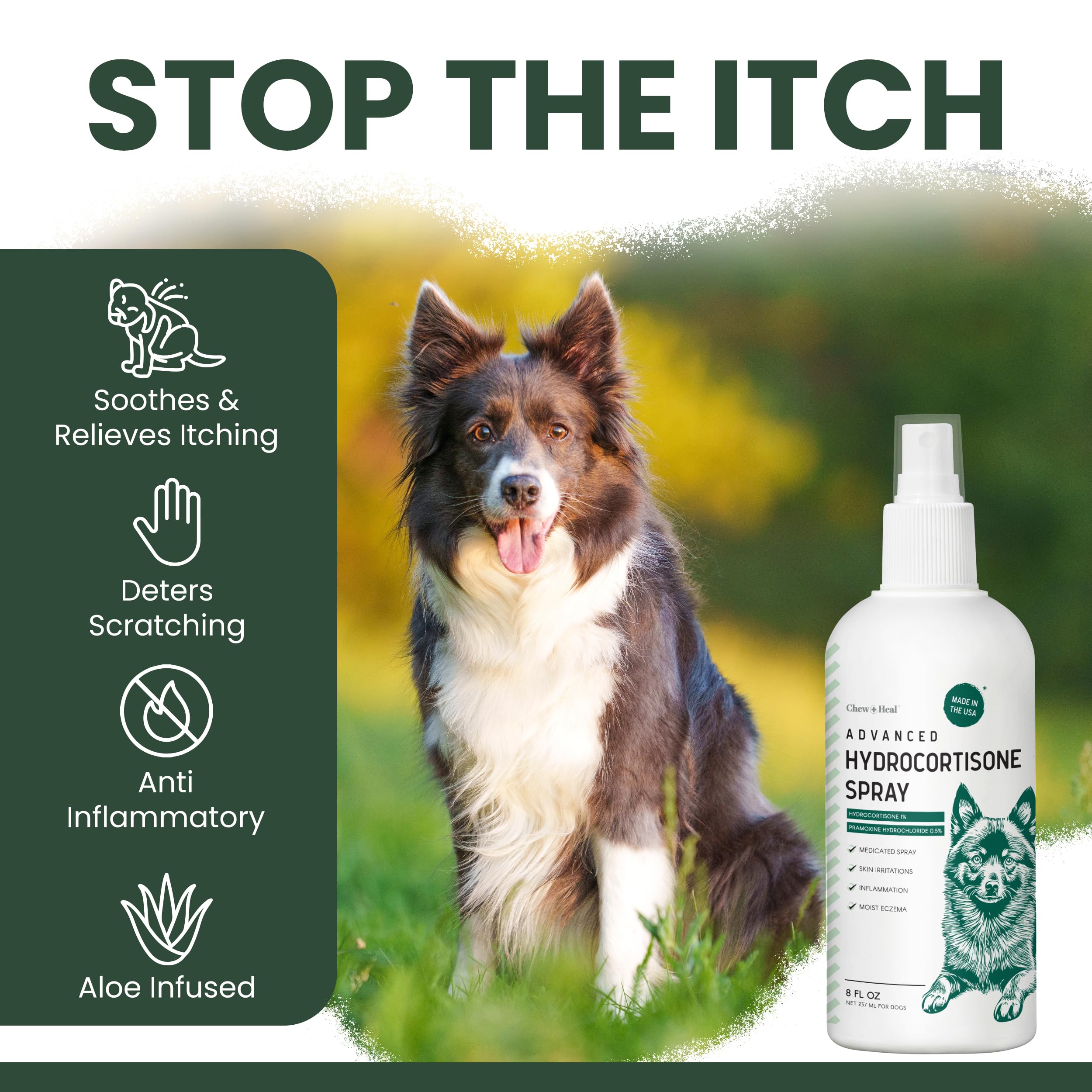 Chew + Heal Labs label close-up with hydrocortisone and pramoxine info.