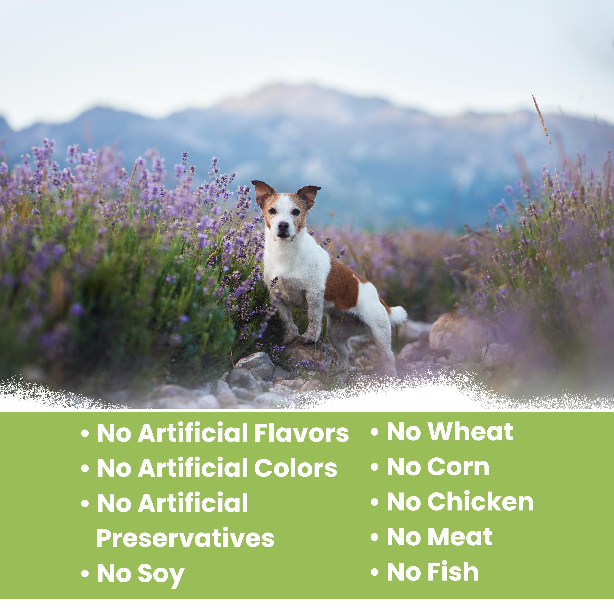 Chew and Heal Labs made in USA label with wholesome ingredients.