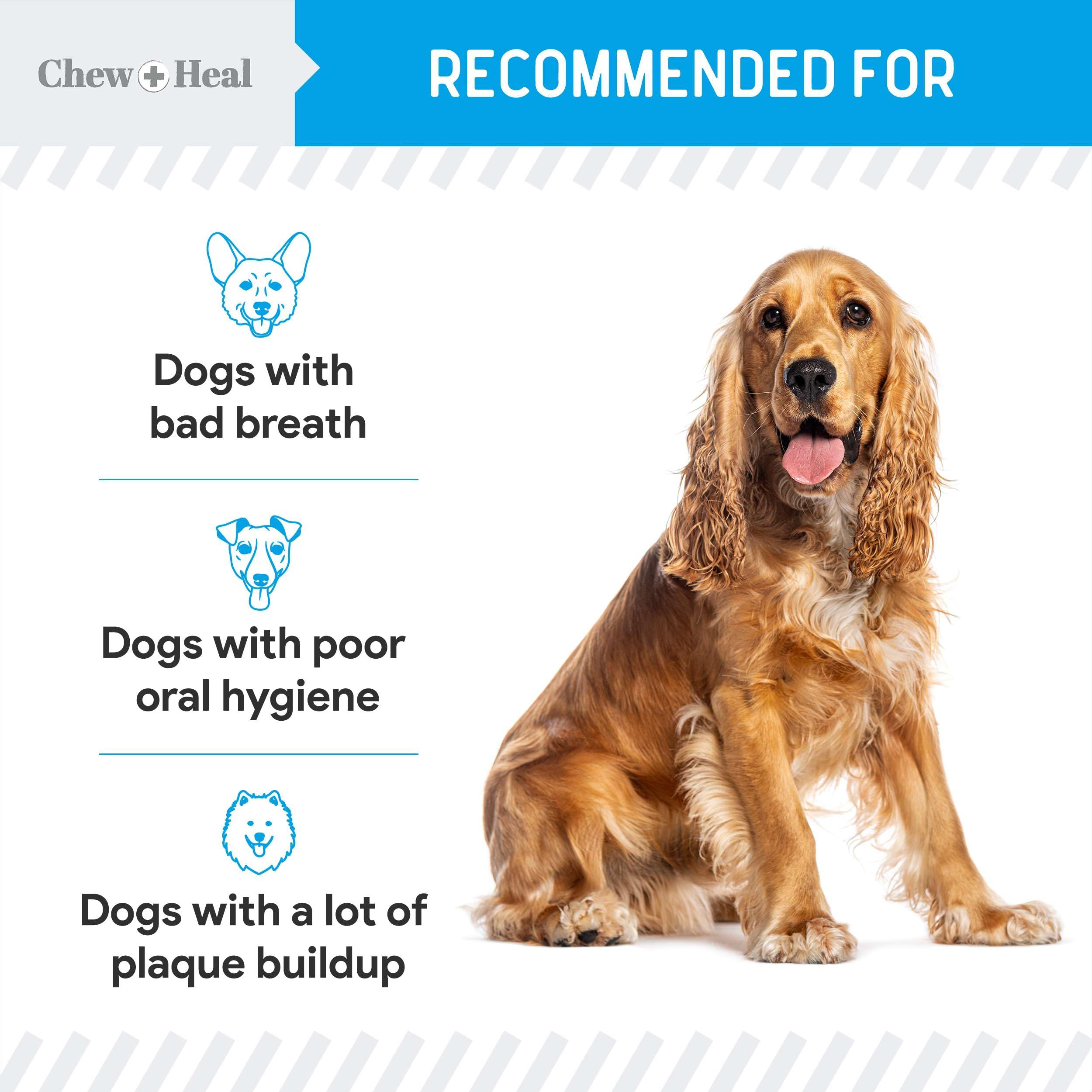 Made in the USA with quality dog dental care ingredients.