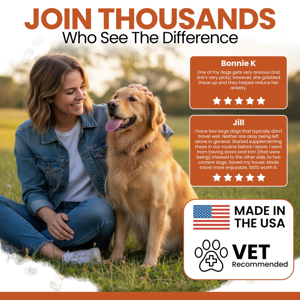Chew + Heal Labs melatonin dog sleep aid promotes restful nights and calmer mornings