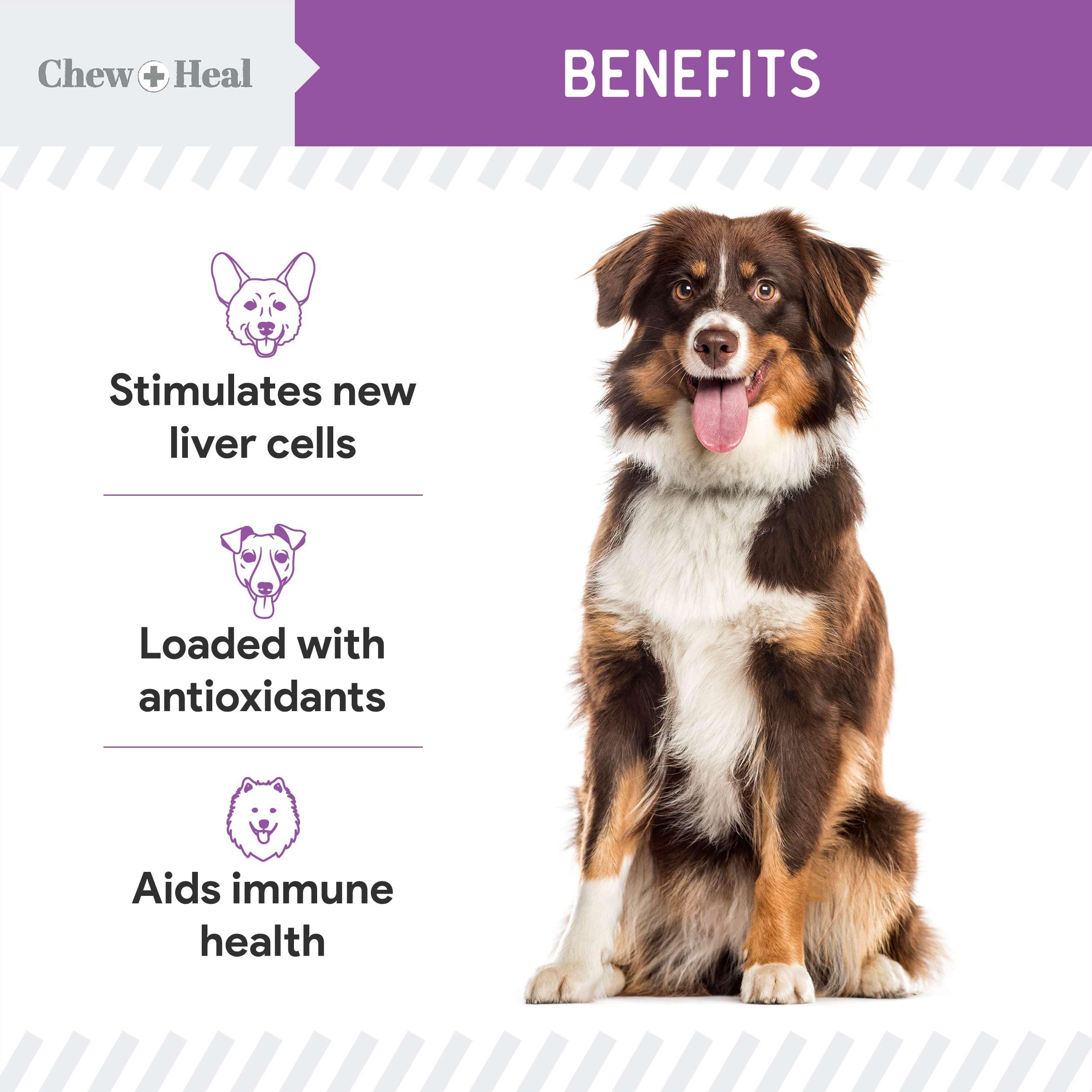 Chew + Heal Labs Moringa Oil image supporting digestion and immunity.