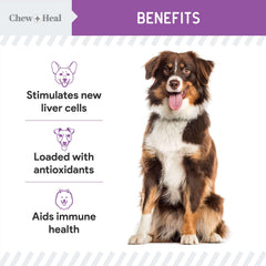Chew + Heal Labs Moringa Oil image supporting digestion and immunity.
