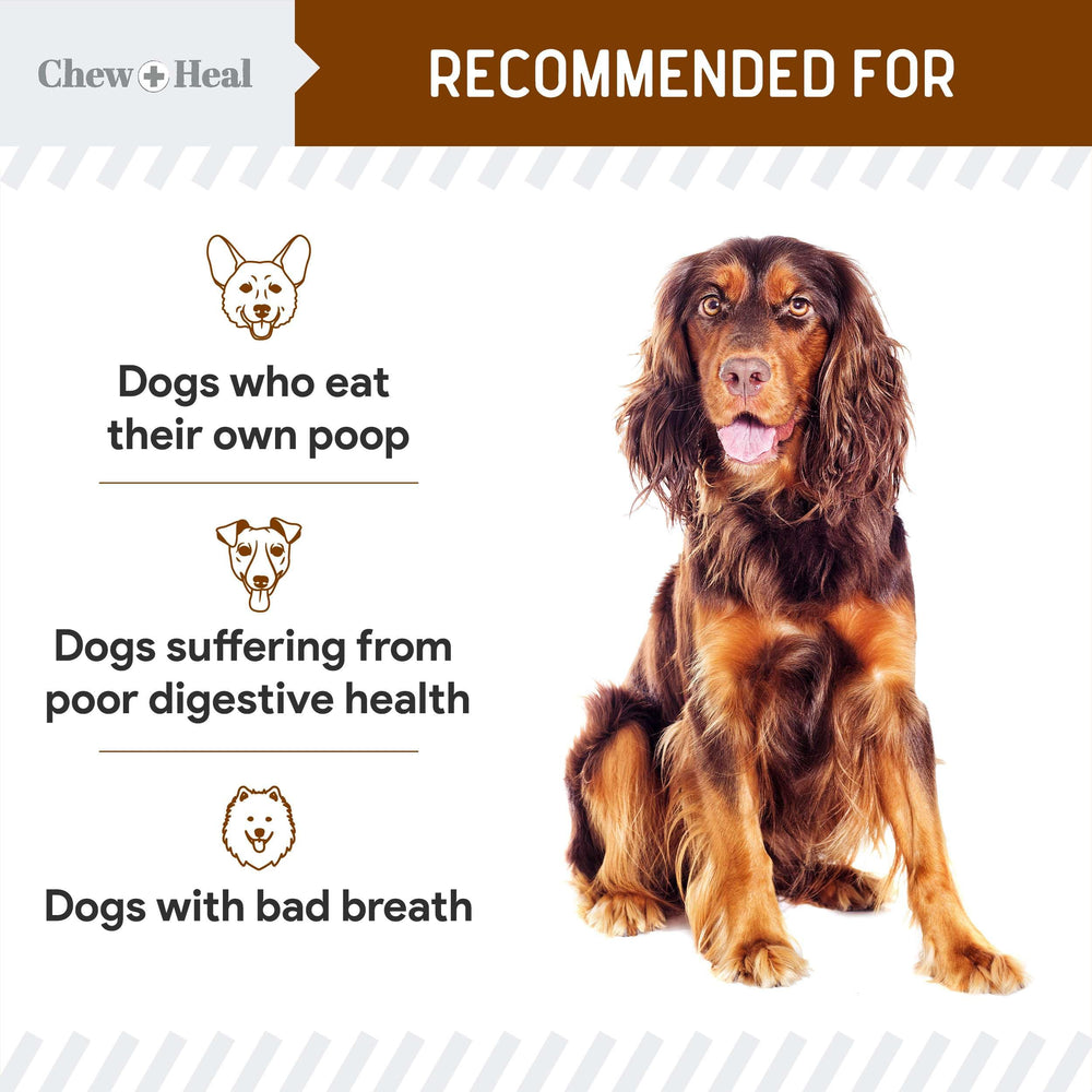 No Poo Chews with enzymes, prebiotic FOS, and chamomile for digestion support.